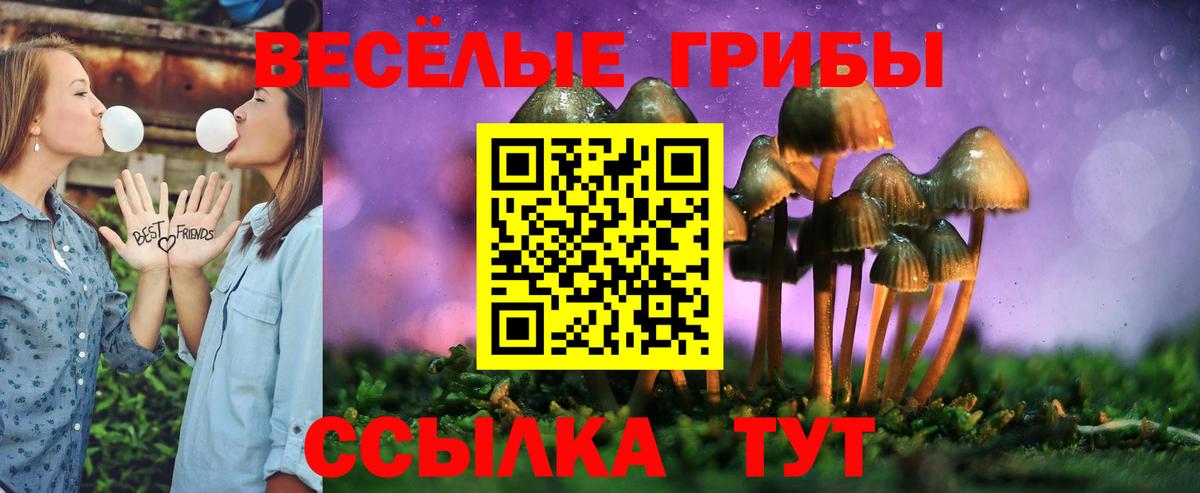 Псилоцибиновые грибы GOLDEN TEACHER Карпинск