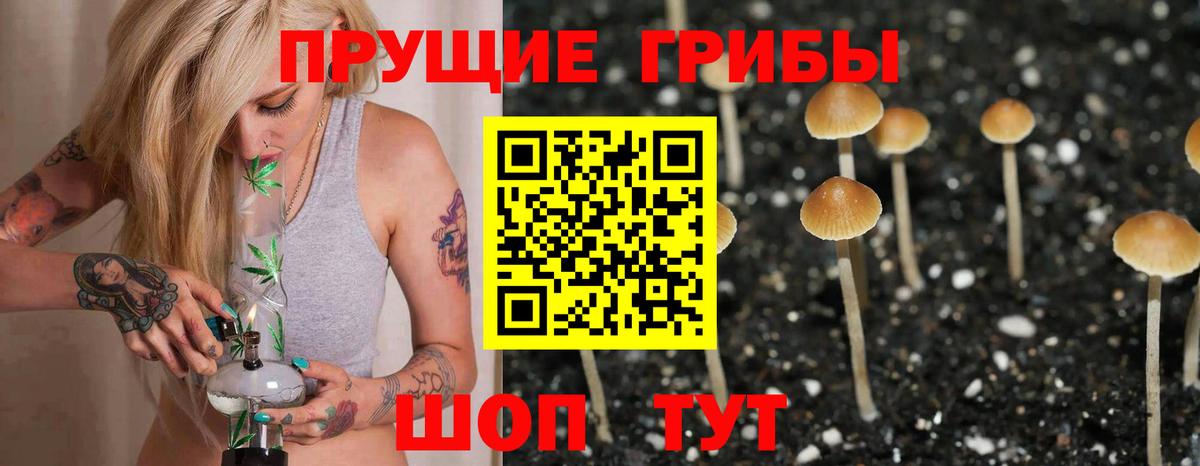 хочу   Псилоцибиновые грибы Magic Shrooms  Вход с VPN  Карпинск 
